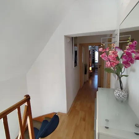 Daun * Schalkenmehren