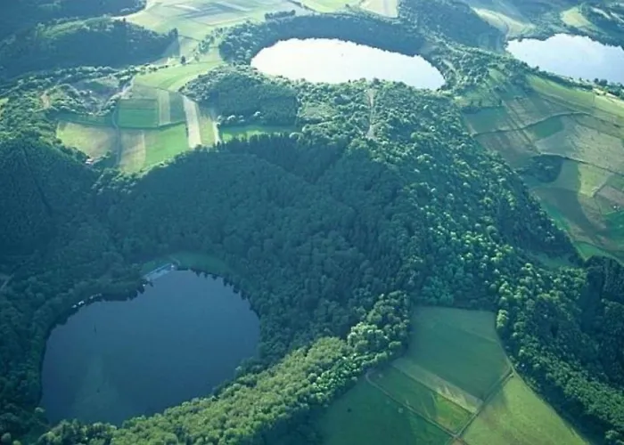 Daun Шалькенмерен